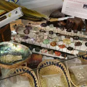 Altered Elements Photo