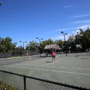 Arthur L. Allen Tennis Center at Cambier Park Photo