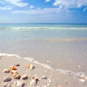 Marco Island Boat Tours Photo