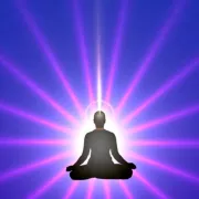 Health & Wellness Sanctuary of SW Florida Photo
