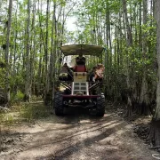 Captain Steve's Swamp Buggy Adventures Photo