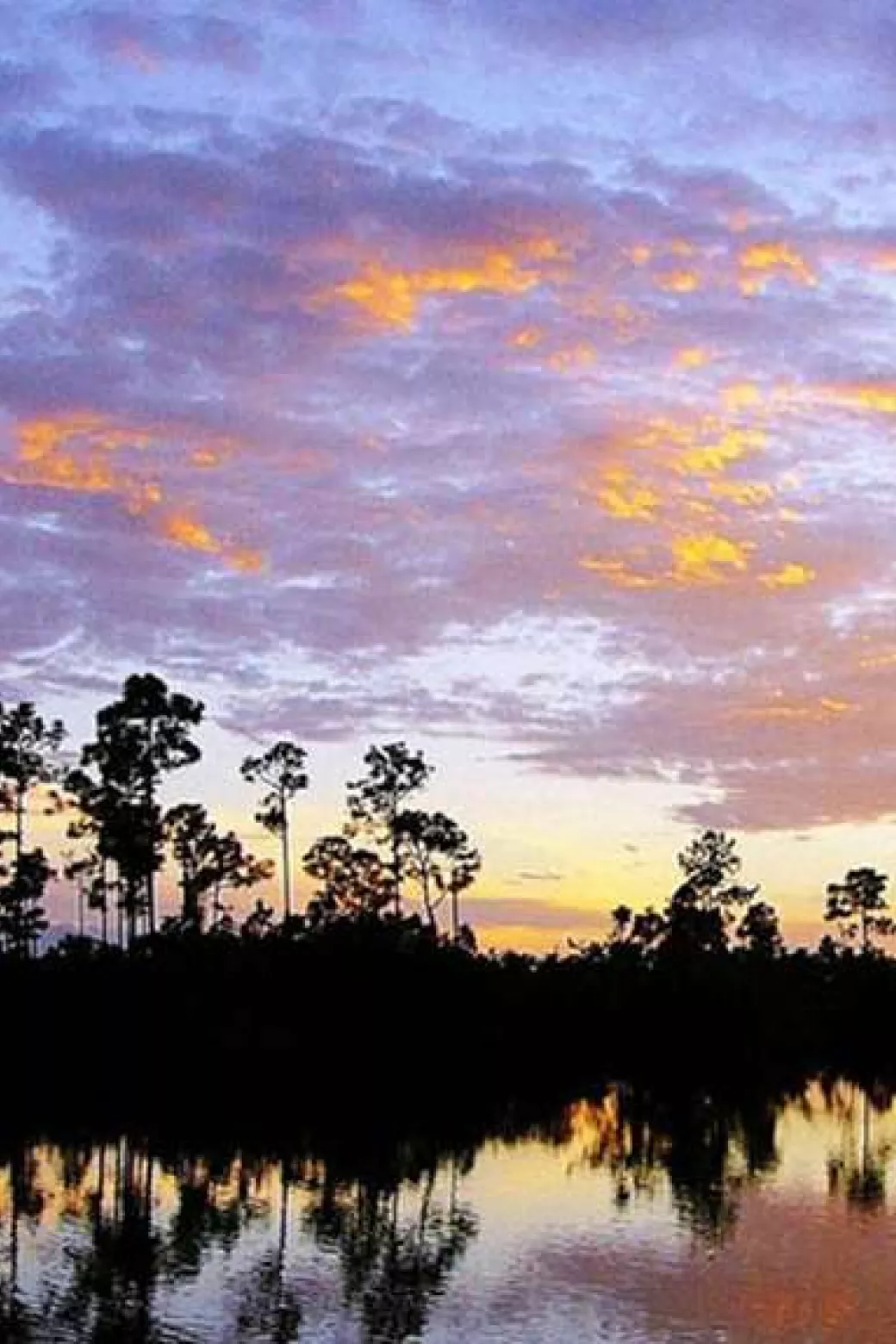 Sunset over Everglades National Park