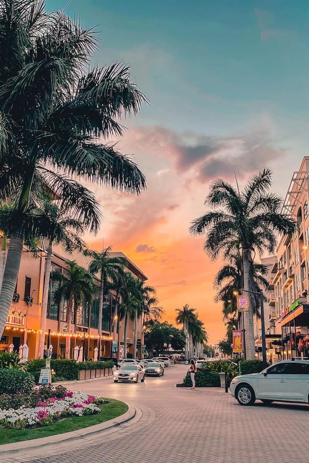 A downtown scene with palm trees and shopping at s