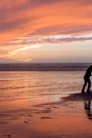 Person and dog playing on the beach at sunset