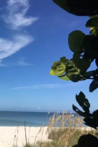 Beach view in Paradise