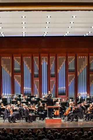 A conductor leads an orchestra.