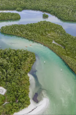 An aerial view of Clam Pass Park, with a winding l