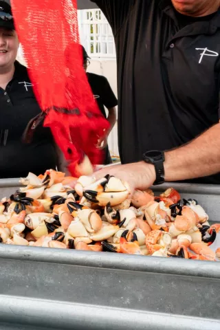 Person pouring a bag of stone crab into a meal cooler