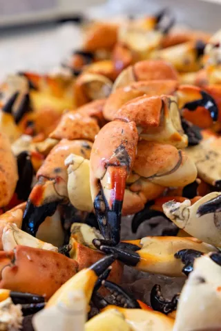 Stone Crabs at Grimms Stone Crab in Everglades City