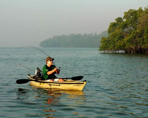 Kayak Fishing in the Naples Area