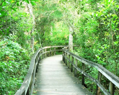 Nature_Trail_2.jpg Nature_Trail_2.jpg