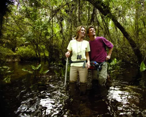 Swamp_Walkers.jpg Swamp_Walkers.jpg