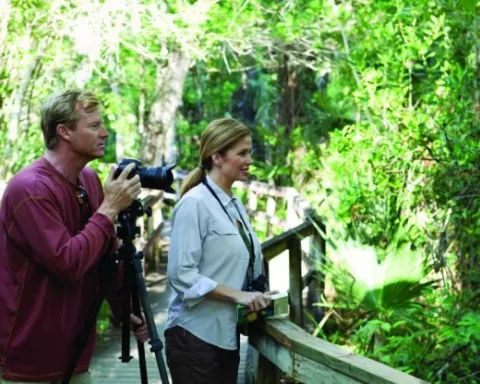 Birding
