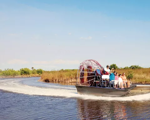 bound-panel-uk-everglades.jpg bound-panel-uk-everglades.jpg