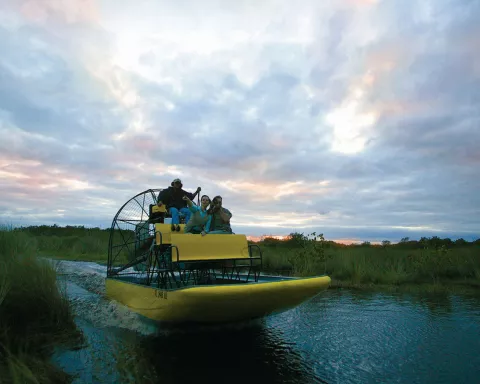 Explore the Everglades in an Airboat. Explore the Everglades in an Airboat.