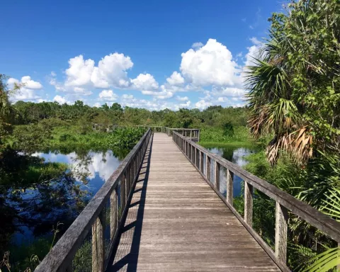 Explore the boardwalk at Freedom Park