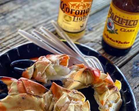 Stone crab claws on a plate. Stone crab claws on a plate.
