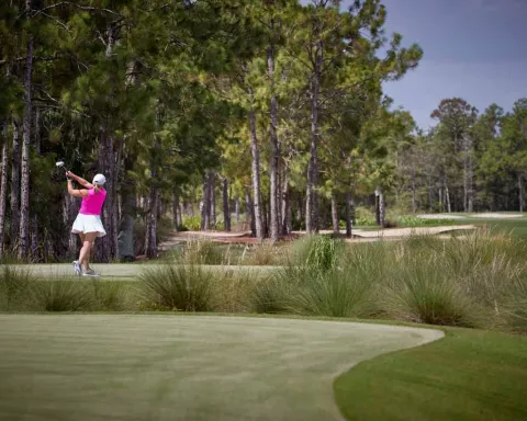 golf-ritz-tiburon-black-course-hero.jpg golf-ritz-tiburon-black-course-hero.jpg