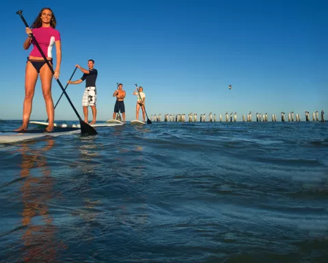 Group of paddleboarders on the water Group of paddleboarders on the water