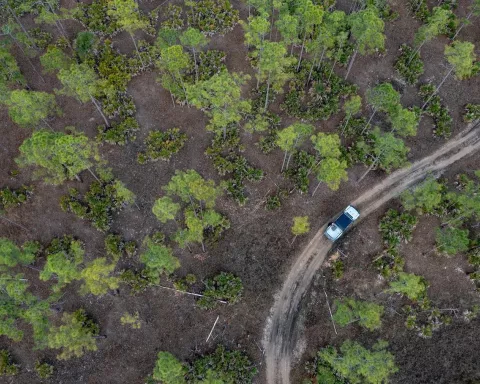 Aerial view of car driving through the forest Aerial view of car driving through the forest