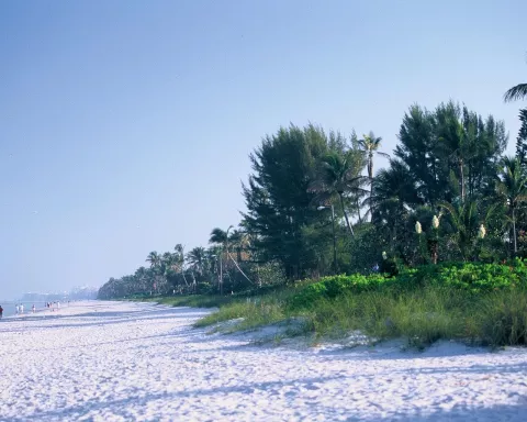 listing-1368-Naples Beach.JPG listing-1368-Naples Beach.JPG