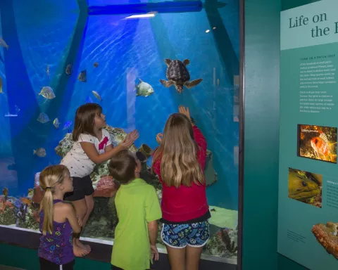 Fun and free kids events in Naples. Fun and free kids events in Naples.