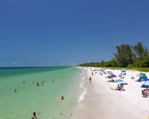 Enjoy the Naples Pier