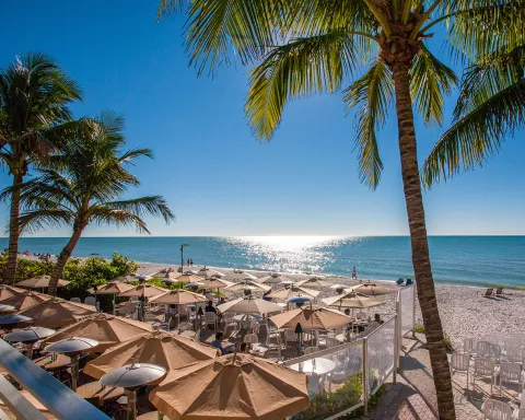 Fine dining at Naples restaurants. Fine dining at Naples restaurants.