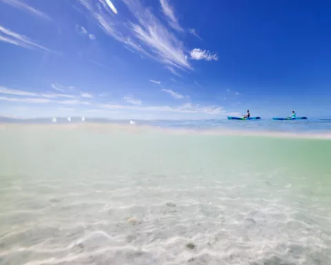 Kayaking in Florida's Paradise Coast