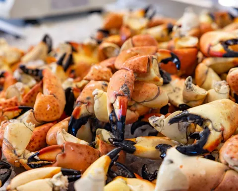 Stone Crabs at Grimms Stone Crab in Everglades City