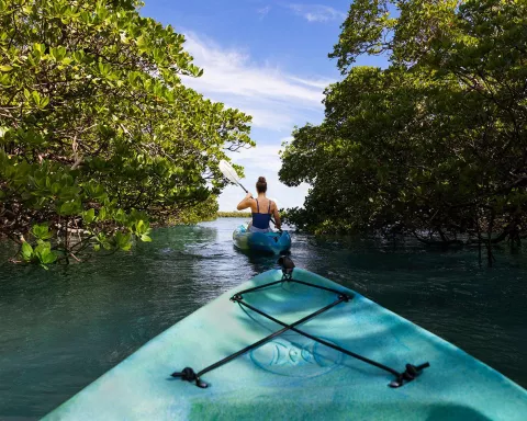 Kayaking Ten Thousand Islands