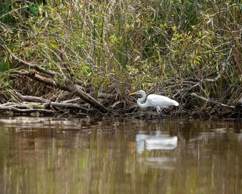 Big Cypress National Preserve