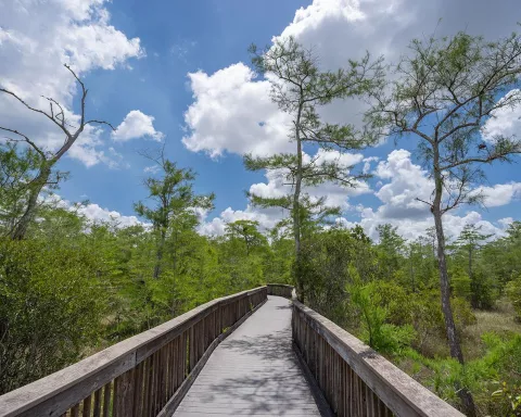 Kirby Stroter Roadside Park