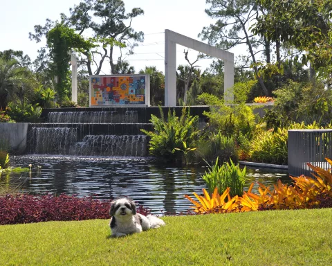 Naples Botanical Garden