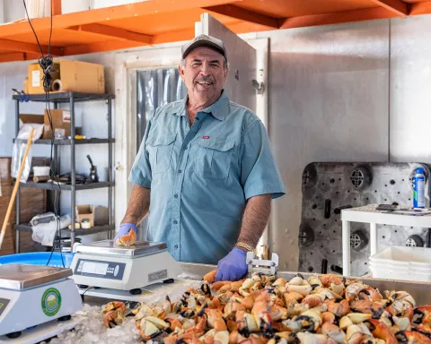 Howie Grimm, Mayor of Everglades City