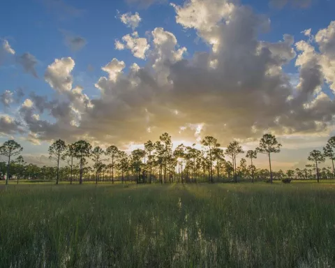 Big Cypress National Preserve