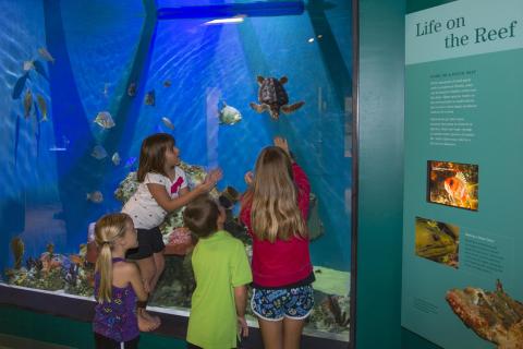 Fun and free kids events in Naples.