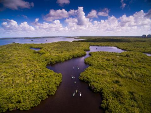 listing-49-Guided Kayak Tour.jpg