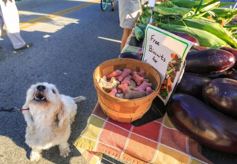 listing-6262-thirdstreetsouthfarmersmarket1.jpg