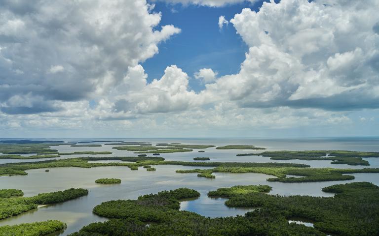 Ten Thousand Islands National Wildlife Refuge is p Ten Thousand Islands National Wildlife Refuge is p