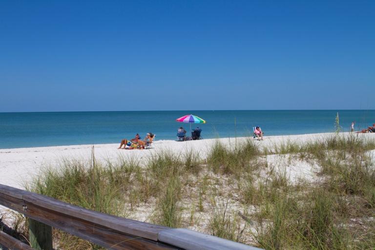 barefoot-beach-2013-for-website.jpg
