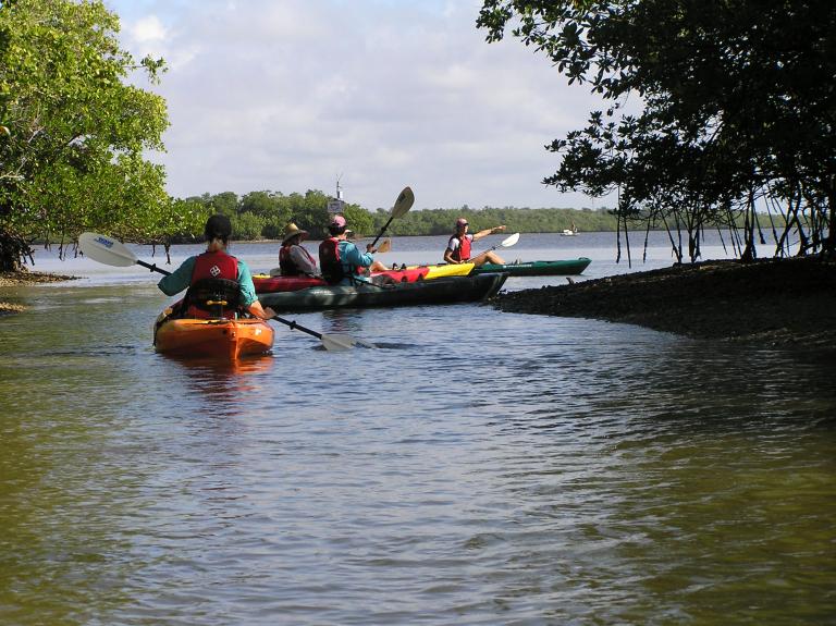 listing-1604-kayakers at Rookery Bay.JPG