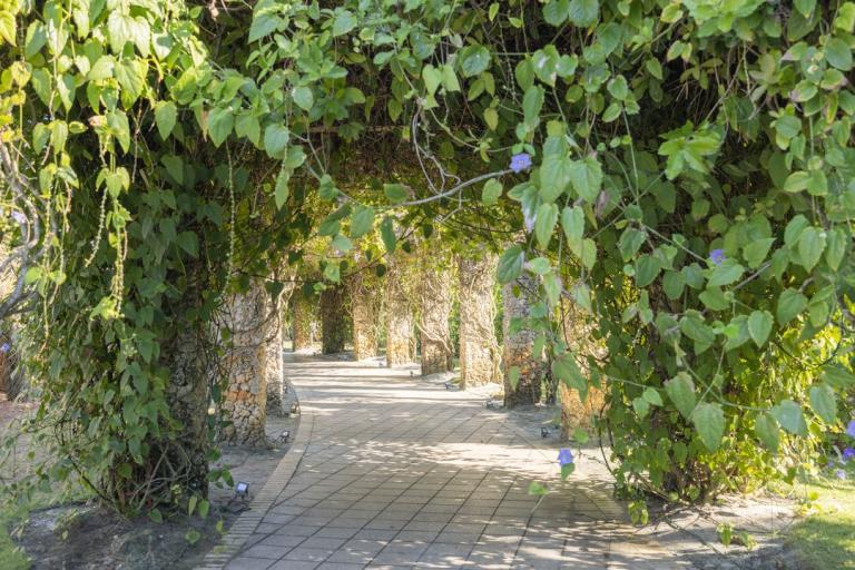 Naples Botanical Garden is a 170-acre, world-class Naples Botanical Garden is a 170-acre, world-class