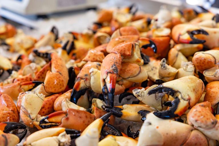 Stone Crabs at Grimms Stone Crab in Everglades City
