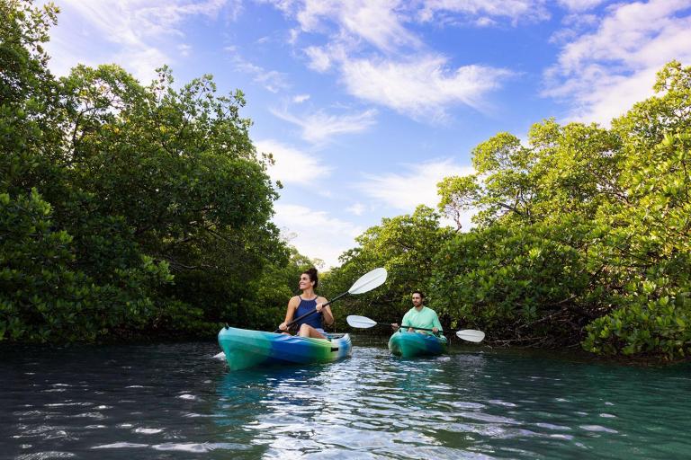 Ten Thousand Islands Kayaking