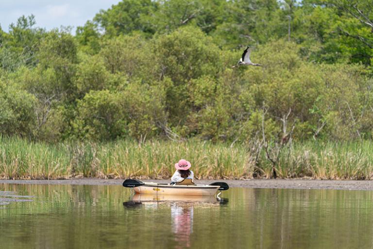 Big Cypress National Preserve