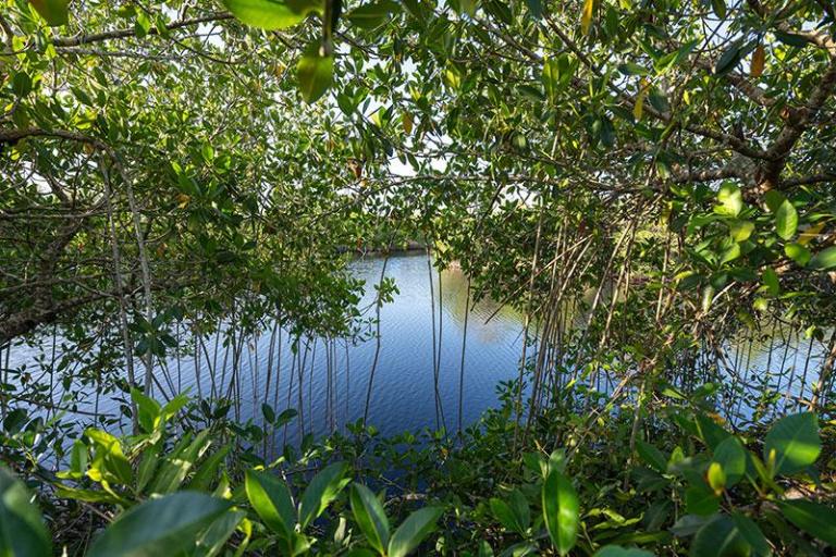 Big Cypress National Preserve