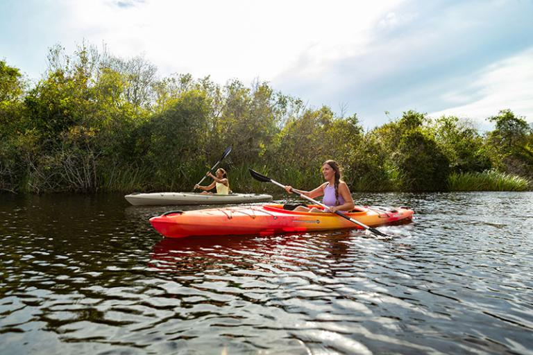 Big Cypress National Preserve Kayaking