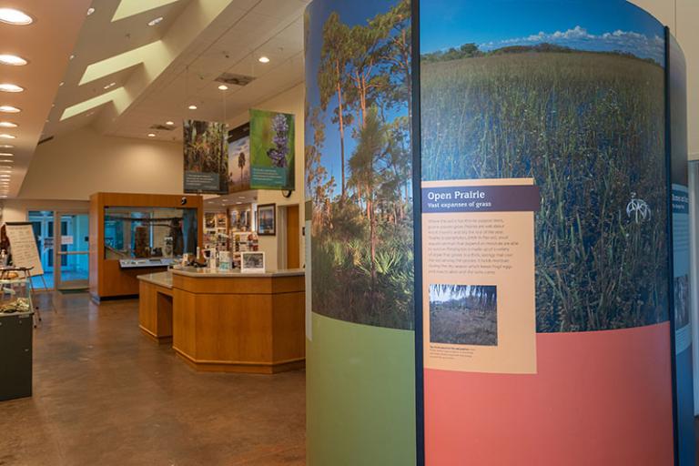 Big Cypress National Preserve