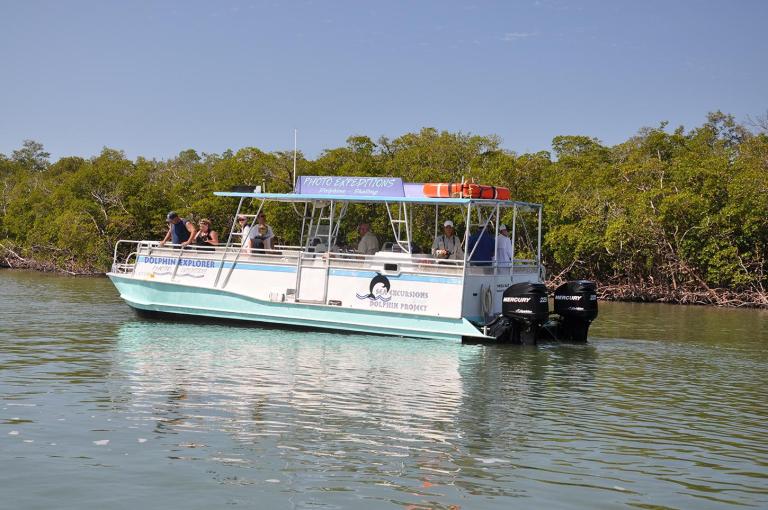 Dolphin Explorer